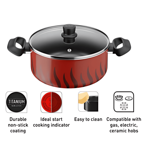 TEFAL Tempo Flamme Stewpot 20cm C3044485