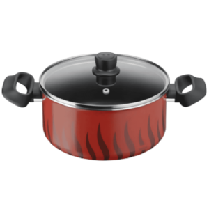 TEFAL Tempo Flamme Stewpot 22cm C3044585