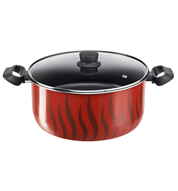 TEFAL Tempo Flamme Stewpot 30CM C3045485