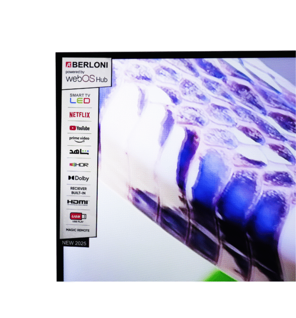TV BERLONI