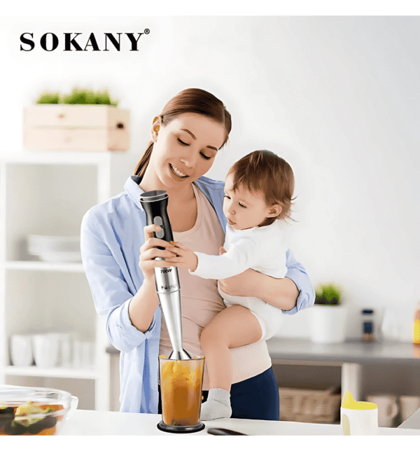 Hand Blender HB-748